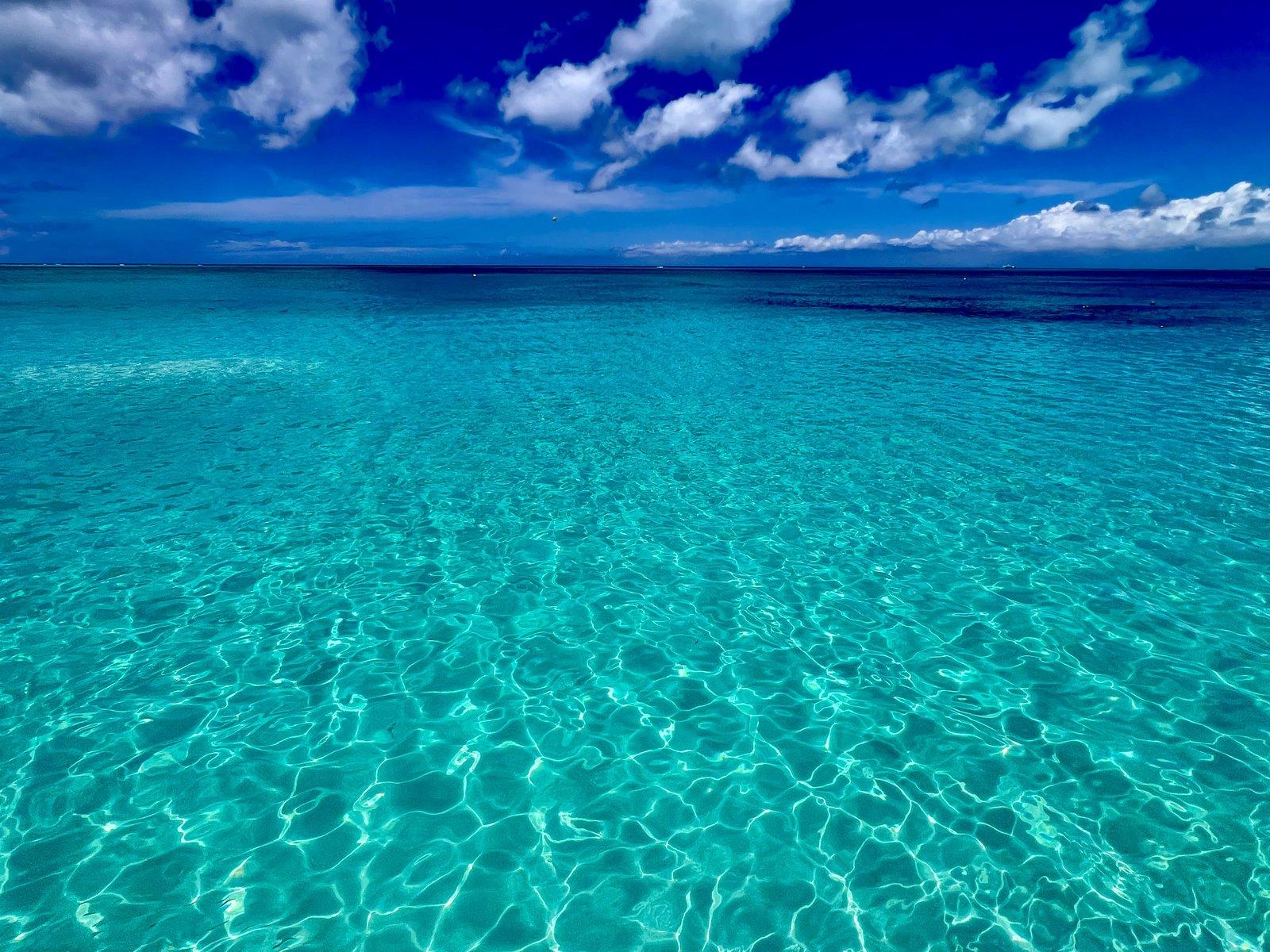 Sea To Sky