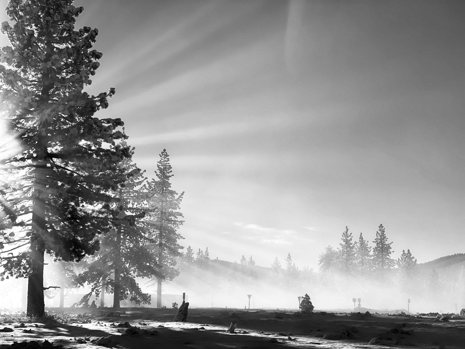 Tahoe, In Snow